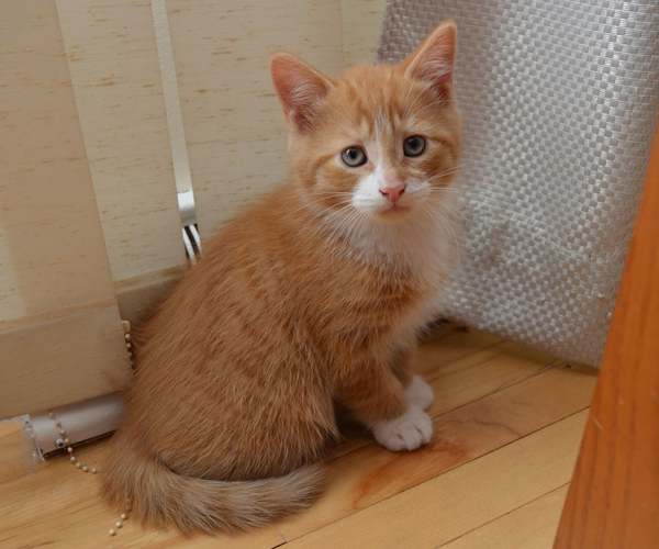 2020-04-30-oscar-bebe.jpg